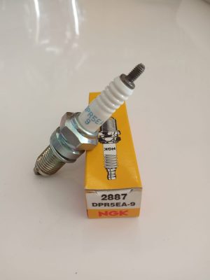 Bujia NGK DPR5EA-9